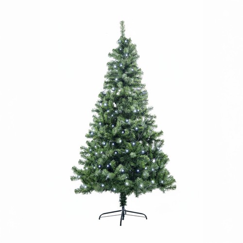 Green christmas tree pre - green,