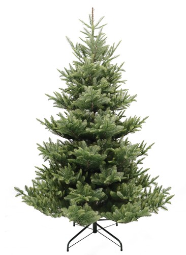 7ft iowa fir - iowa,