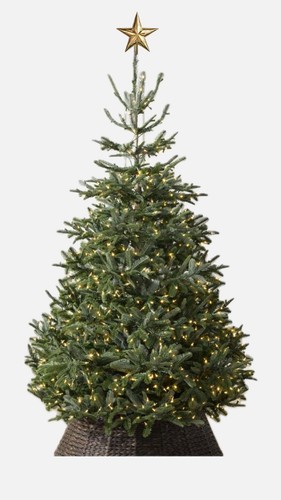Silverado slim - 7’ft, bh