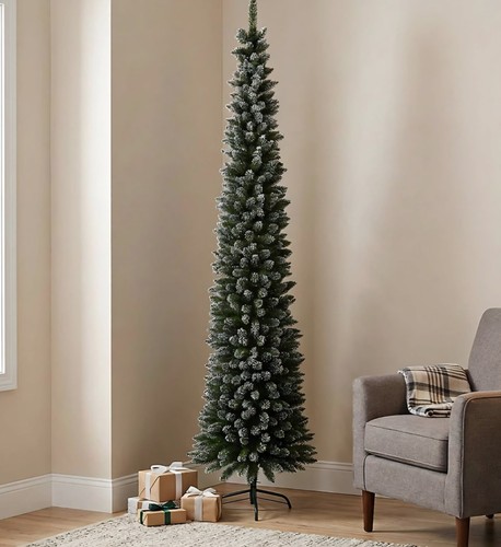 Premier 7ft pencil pine - pencil, snow