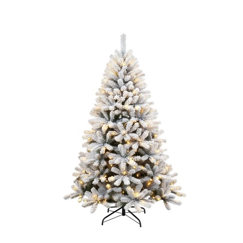 Christmas tree green - tree,