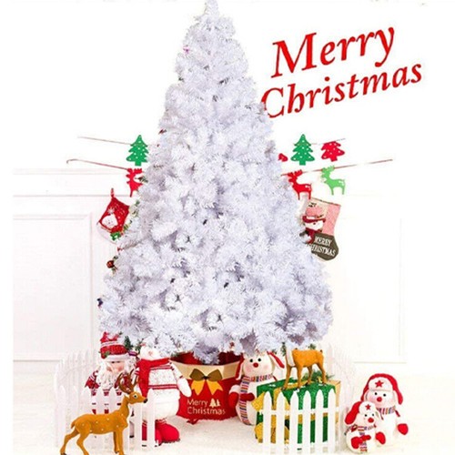 White christmas tree pine - christmas,