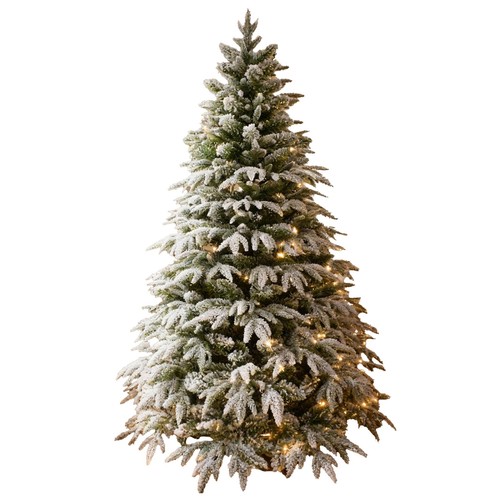 Christmas tree pre - christmas, lit